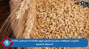 «تغيرات ملحوظة» سعر أرز الشعير اليوم الثلاثاء 12 أغسطس 2025 في الأسواق المصرية